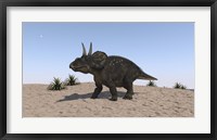Triceratops Walking across a Barren Landscape 2 Fine Art Print