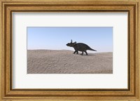 Triceratops Walking across a Barren Landscape 3 Fine Art Print