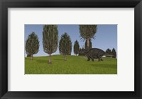 Triceratops Walking across a Grassy Field 1 Fine Art Print