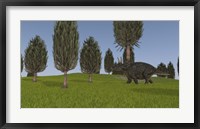 Triceratops Walking across a Grassy Field 1 Framed Print