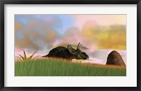 Triceratops Walking across a Grassy Field 3 Framed Print