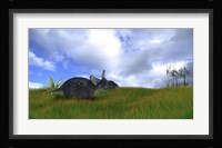 Triceratops Walking across Prehistoric Grasslands Fine Art Print