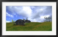 Triceratops Walking across Prehistoric Grasslands Fine Art Print