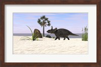 Triceratops Walking along a Prehistoric Beach Landscape Fine Art Print