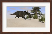 Triceratops Walking along a Prehistoric Landscape Fine Art Print