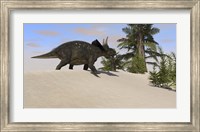 Triceratops Walking along a Prehistoric Landscape Fine Art Print
