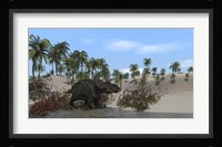 Triceratops Walking along the Shoreline 1 Framed Print