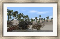 Triceratops Walking along the Shoreline 1 Fine Art Print