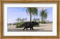 Triceratops Walking along the Shoreline 2 Fine Art Print