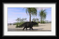 Triceratops Walking along the Shoreline 2 Framed Print