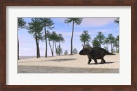Triceratops Walking along the Shoreline 3 Fine Art Print