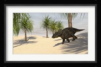 Triceratops Walking in a Tropical Environment 2 Framed Print