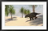 Triceratops Walking in a Tropical Environment 2 Framed Print