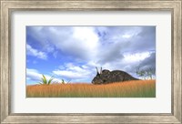 Triceratops Walking through Tall Grass Fine Art Print