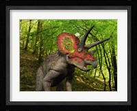 A Colorful Triceratops Wanders a Cretaceous Forest Fine Art Print