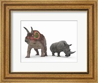 An adult Triceratops Compared to a modern adult White Rhinoceros Fine Art Print
