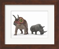 An adult Triceratops Compared to a modern adult White Rhinoceros Fine Art Print