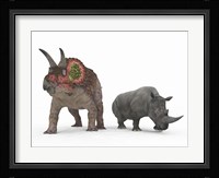 An adult Triceratops Compared to a modern adult White Rhinoceros Fine Art Print