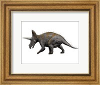 Triceratops Dinosaur 1 Fine Art Print