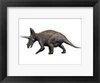 Triceratops Dinosaur 1 Fine Art Print