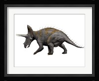 Triceratops Dinosaur 1 Fine Art Print