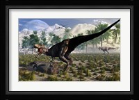 Tyrannosaurus Rex Guards its meal of a Juvenile Triceratops Framed Print