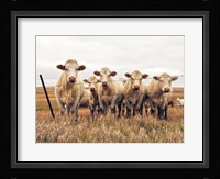 We're Watching Fine Art Print