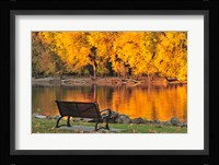 Fall Glow Fine Art Print