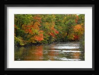 Hint of Fall Fine Art Print