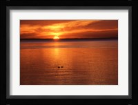 Happy Hour Fine Art Print