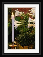 Easter Flowers Framed Print