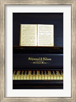 Piano Fine Art Print