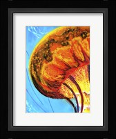 Jelly Fine Art Print