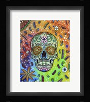 Sugar 3 Fine Art Print