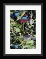 Color Cups & Tape 41 Fine Art Print