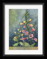 Foxgloves Fine Art Print