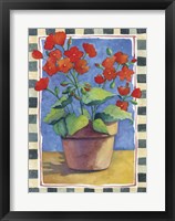 Geraniums Fine Art Print