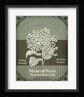 Flower Shop II Fine Art Print