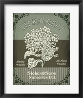 Flower Shop II Fine Art Print