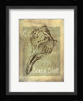 Shore Life III Fine Art Print