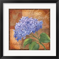 Hydrangea Fine Art Print