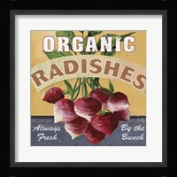 Radishes Fine Art Print