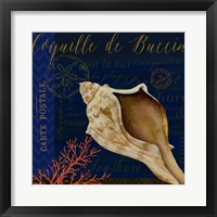 Coastal Blue III Fine Art Print