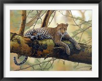 African Leopard Fine Art Print