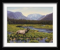Meadows Of Grand Lake, Colorado Fine Art Print