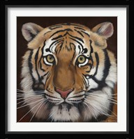 Tiger Fine Art Print