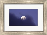 The Moon and Jupiter in a very close Conjunction Fine Art Print