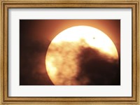 Venus Transiting in front of the Sun III Fine Art Print