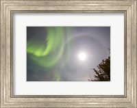 Aurora borealis, Full Moon, Halo and Venus by Lake Laberge, Yukon, Canada Fine Art Print