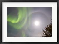 Aurora borealis, Full Moon, Halo and Venus by Lake Laberge, Yukon, Canada Fine Art Print